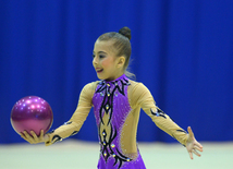 Bədii gimnastika üzrə XXII Bakı çempionatı və birinciliyi start götürüb. Bakı, Azərbaycan, 13 noyabr 2015